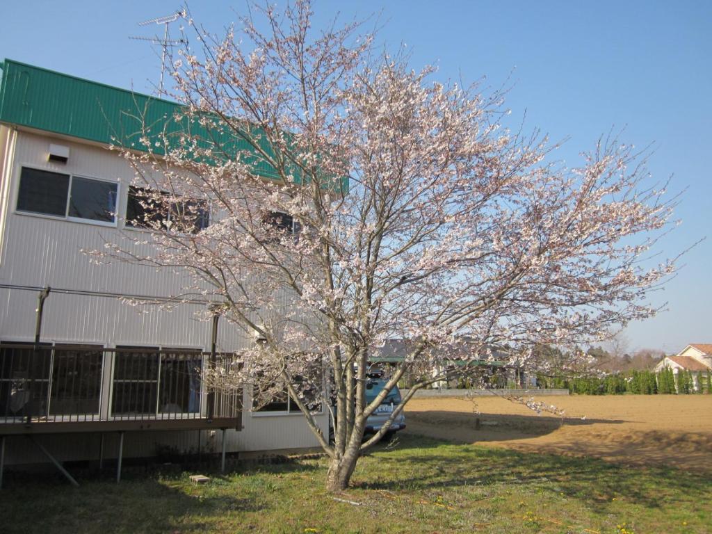 Narita Airport Hostel Shibayama Exterior foto
